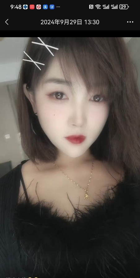 东丽慧宝
