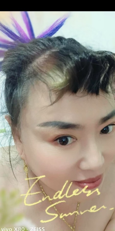 衡水老凤