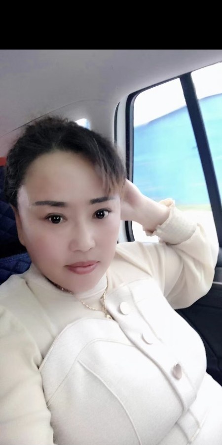 衡水老凤