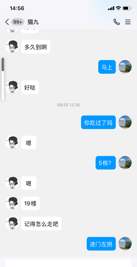 包河猫九
