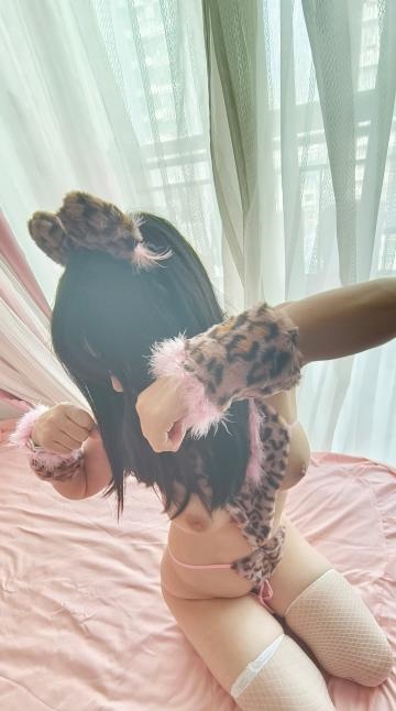 雁塔粉乳小花豹
