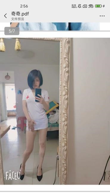沈阳奇奇