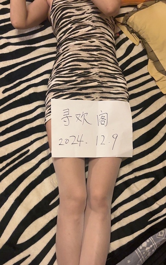 徐州金鹰小可可