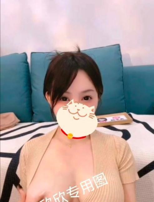 市区晨课温柔妹妹