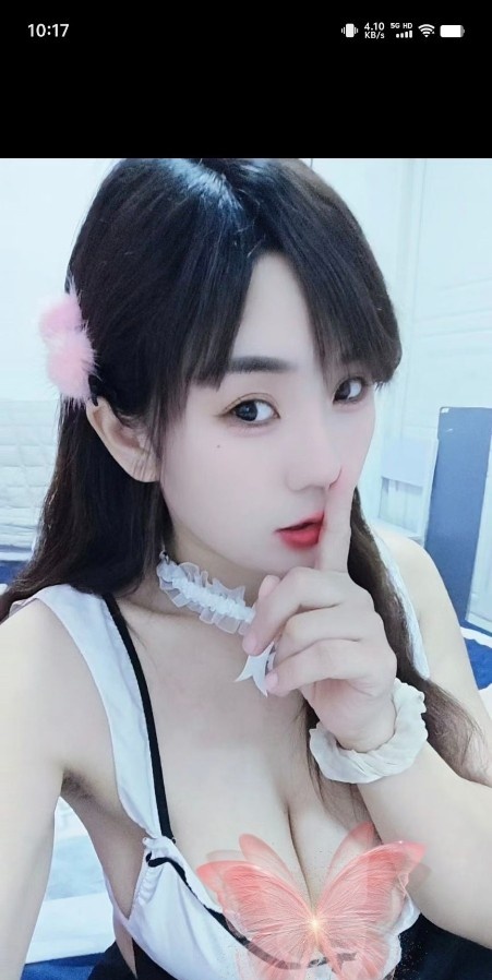 大波波燕子