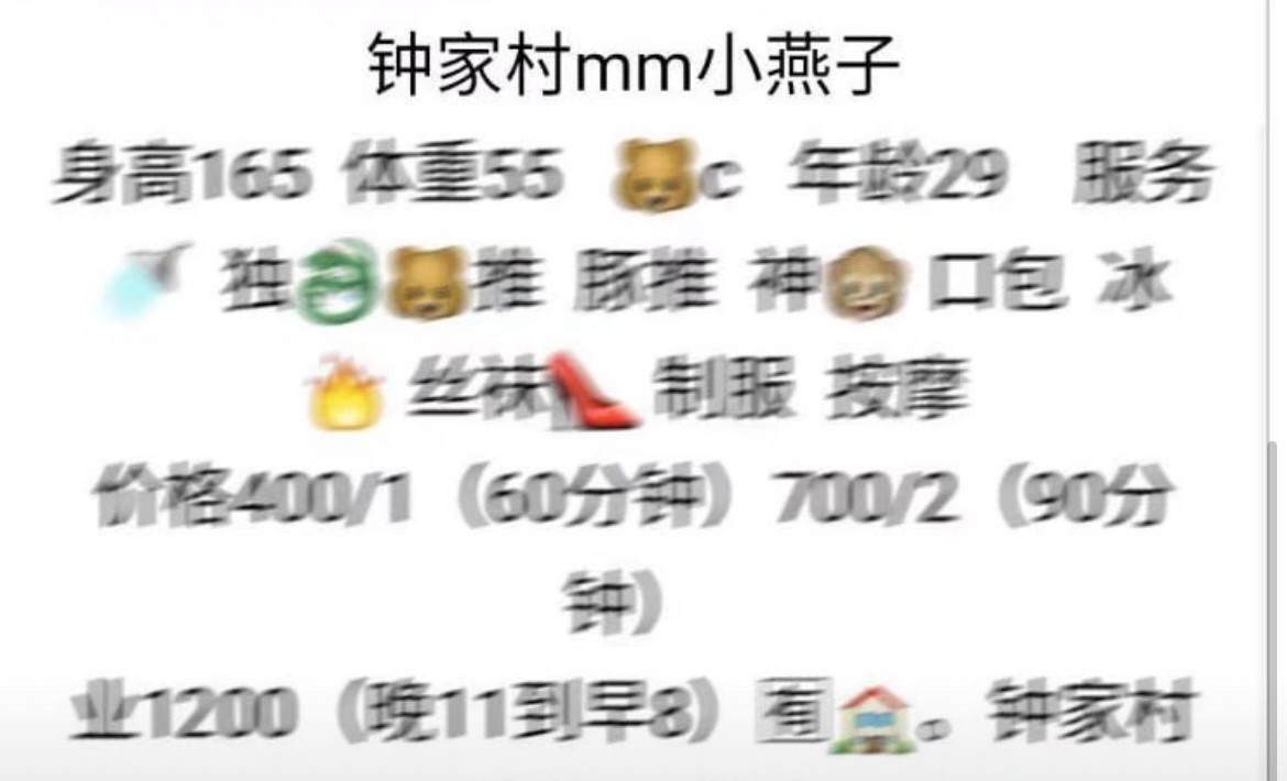 钟家村燕子