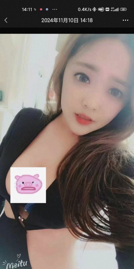 河东鑫鑫