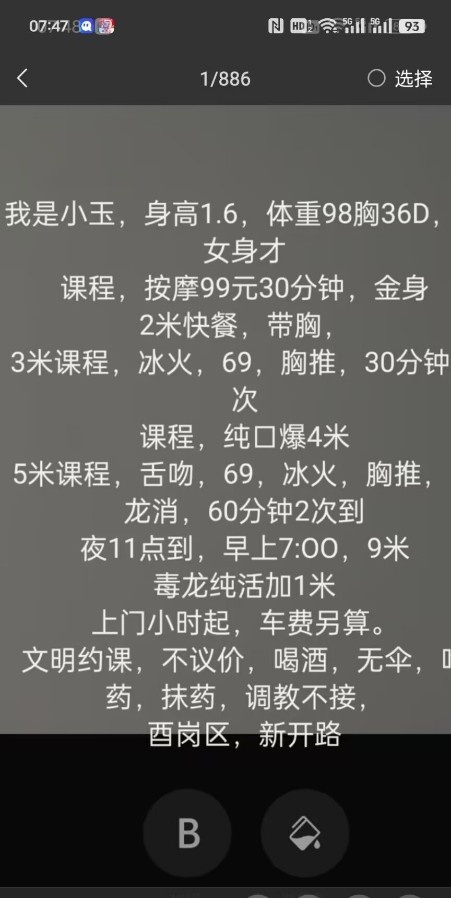 西岗区新人