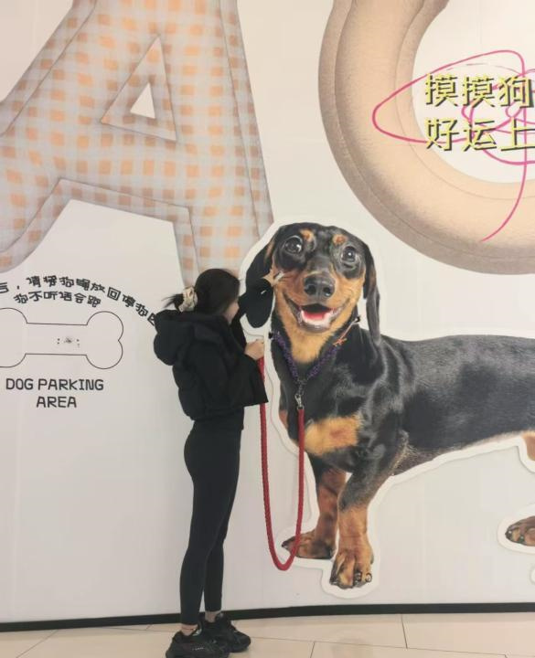 江宁CC