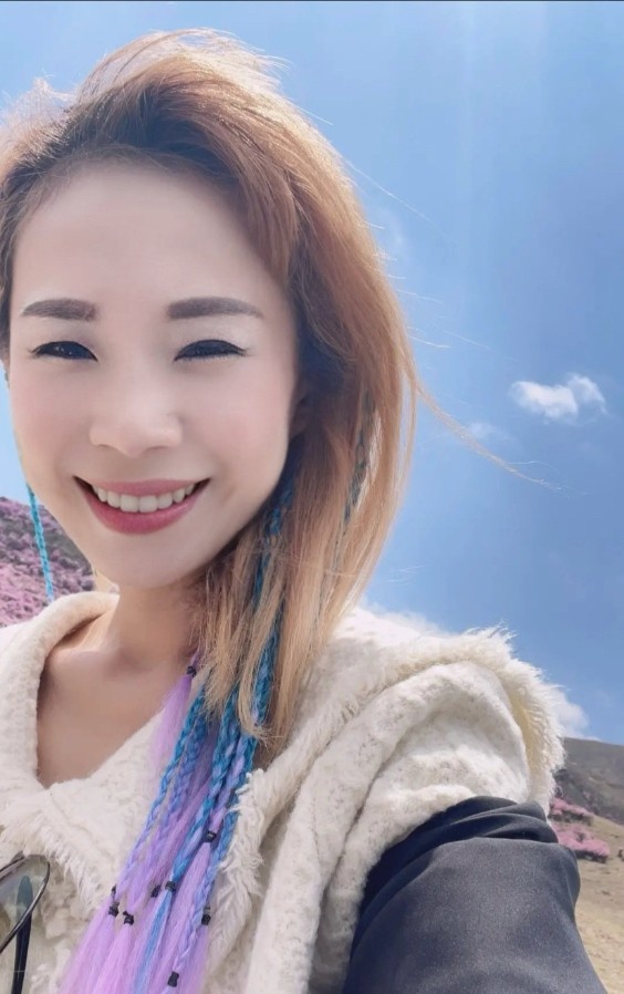 梦蝶