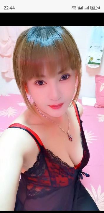 拱北猫猫