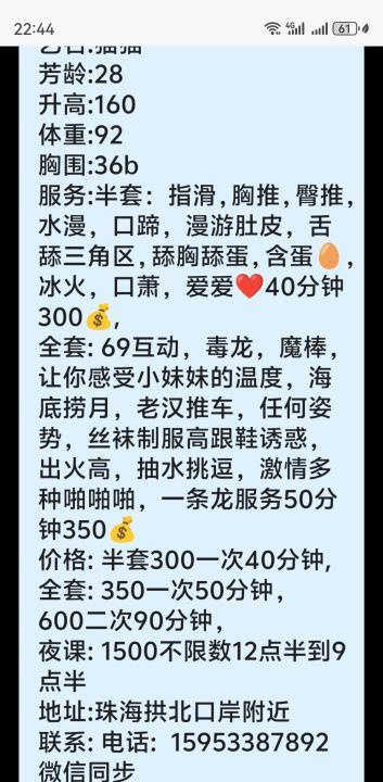 拱北猫猫
