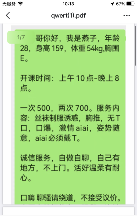 常州大胸燕子
