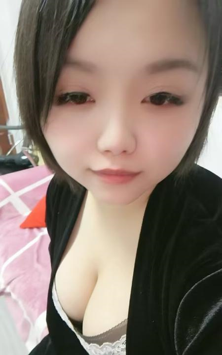合肥过年不回家