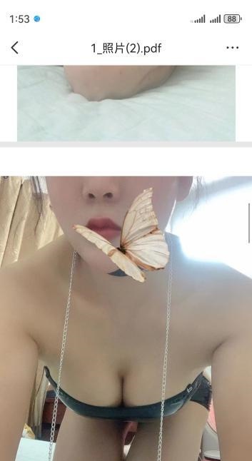 体育西三通大波燕