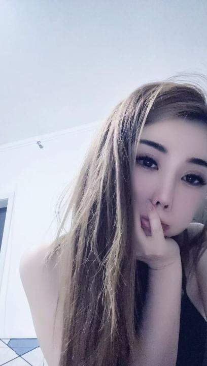 沈阳铁西菊花