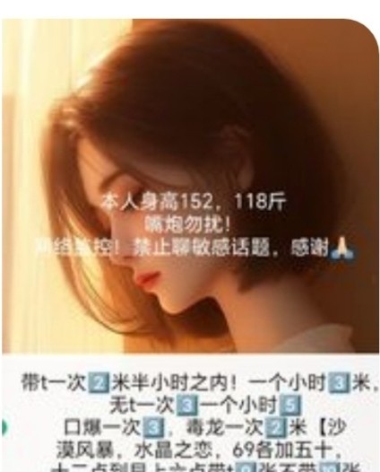 城阳小猫咪