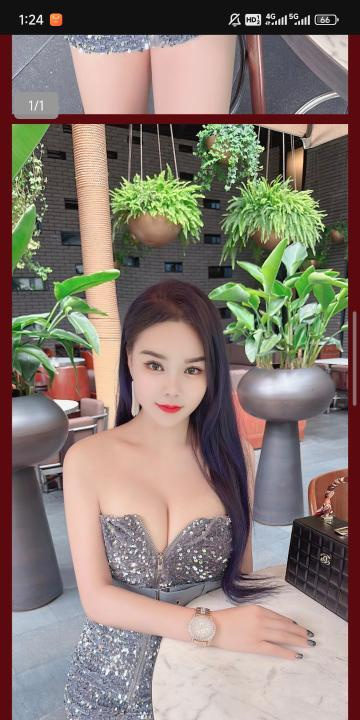 金牛玫瑰回归