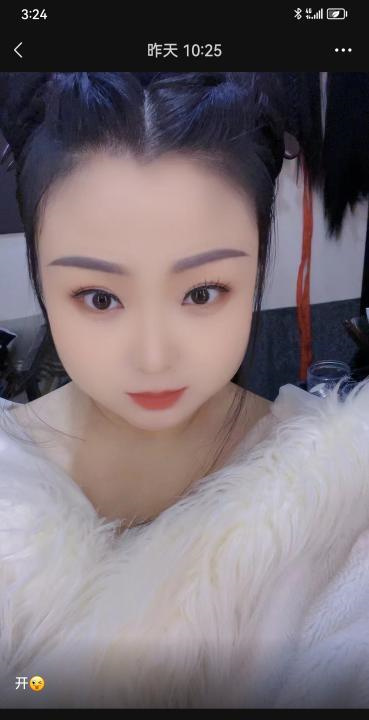 西青东北猫咪