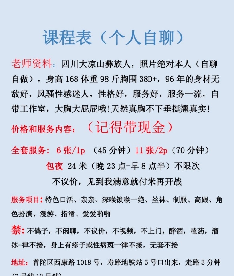 普陀骚玫瑰