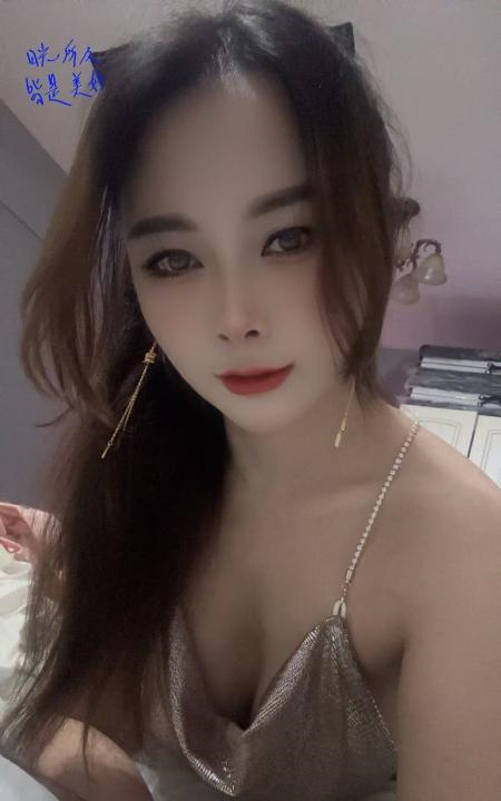 包河小猫咪