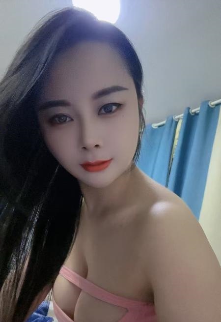 包河小猫咪