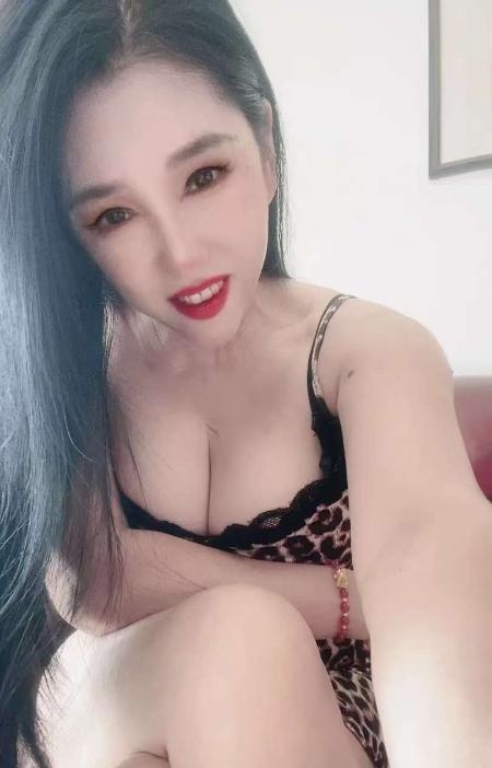 新区口奶牛