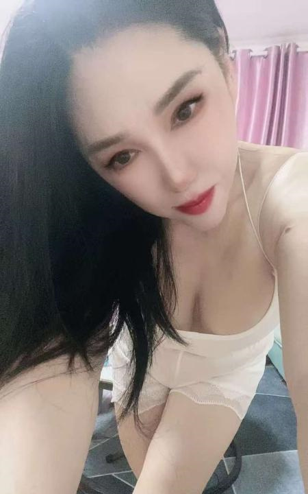 新区口奶牛