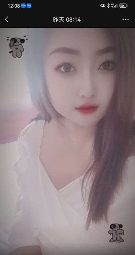 微胖叶子