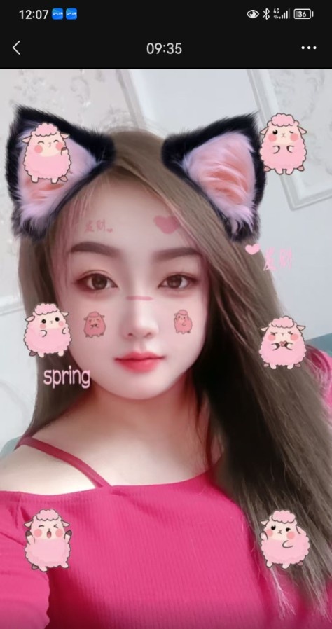 微胖叶子