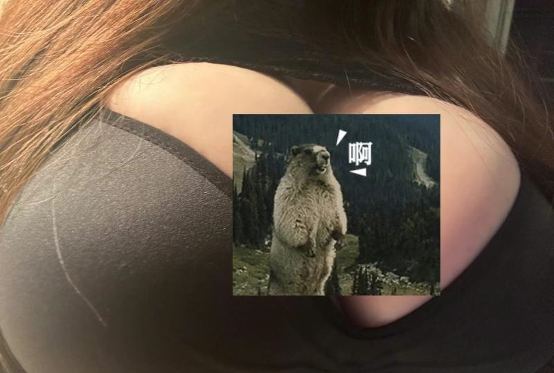 奉贤巨乳妹子体验