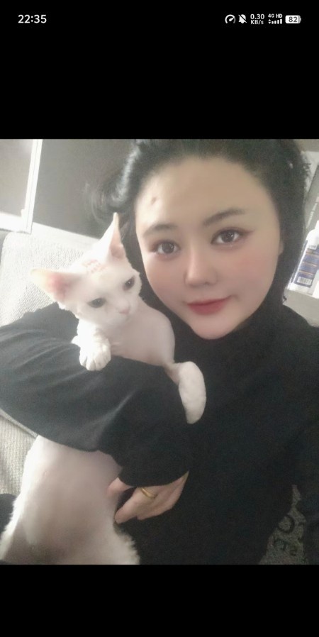 呼市软猫  一个性感小骚货
