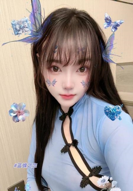 普陀小野猫