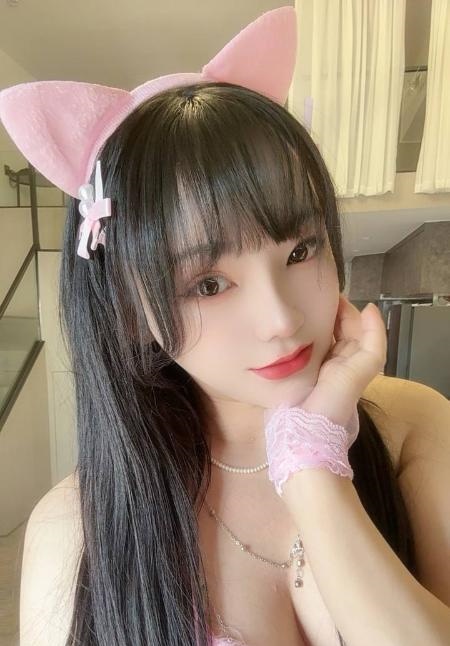 普陀小野猫