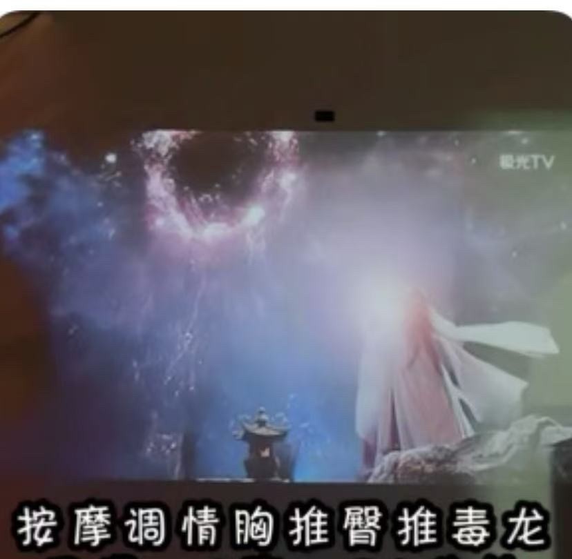 宁波白茶