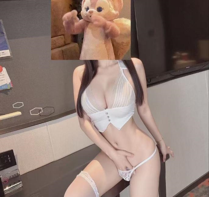 园区小菲