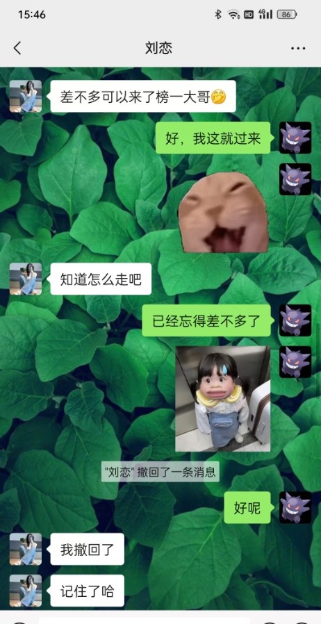 健身女孩蜜桃臀刘恋