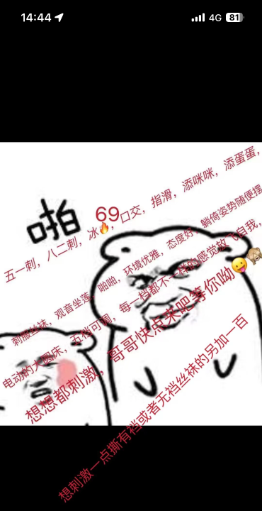 新区香香