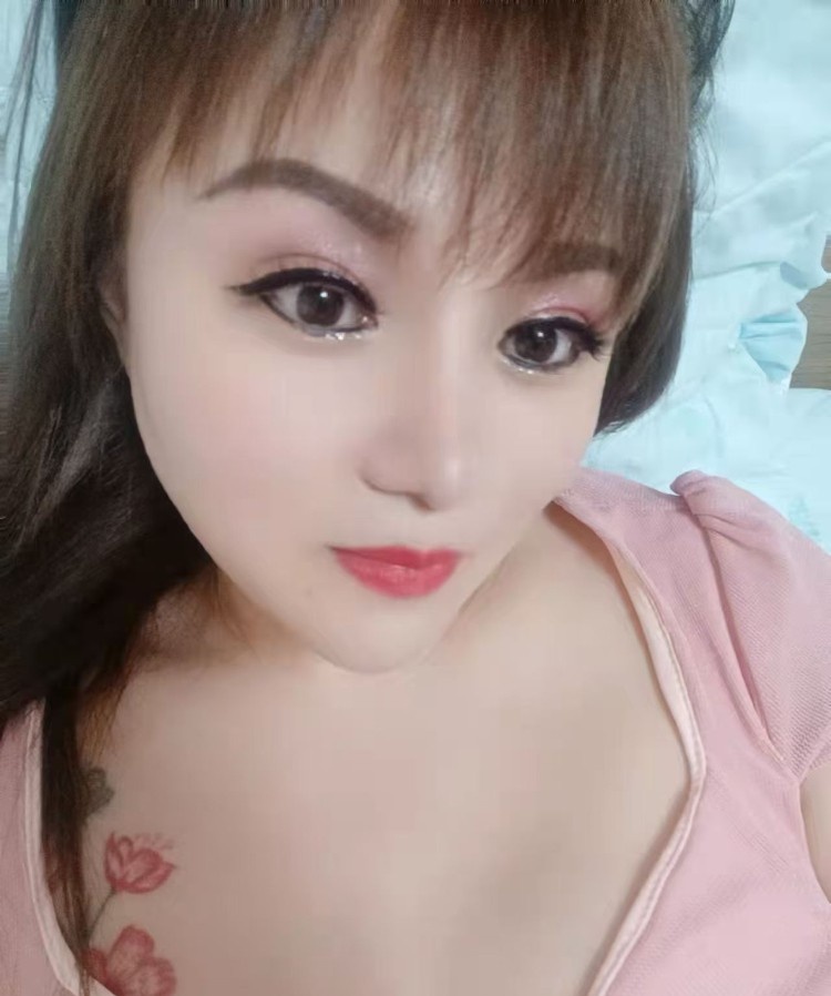 龙岗杨美小野猫