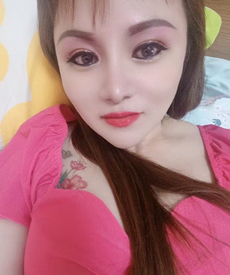 龙岗杨美小野猫
