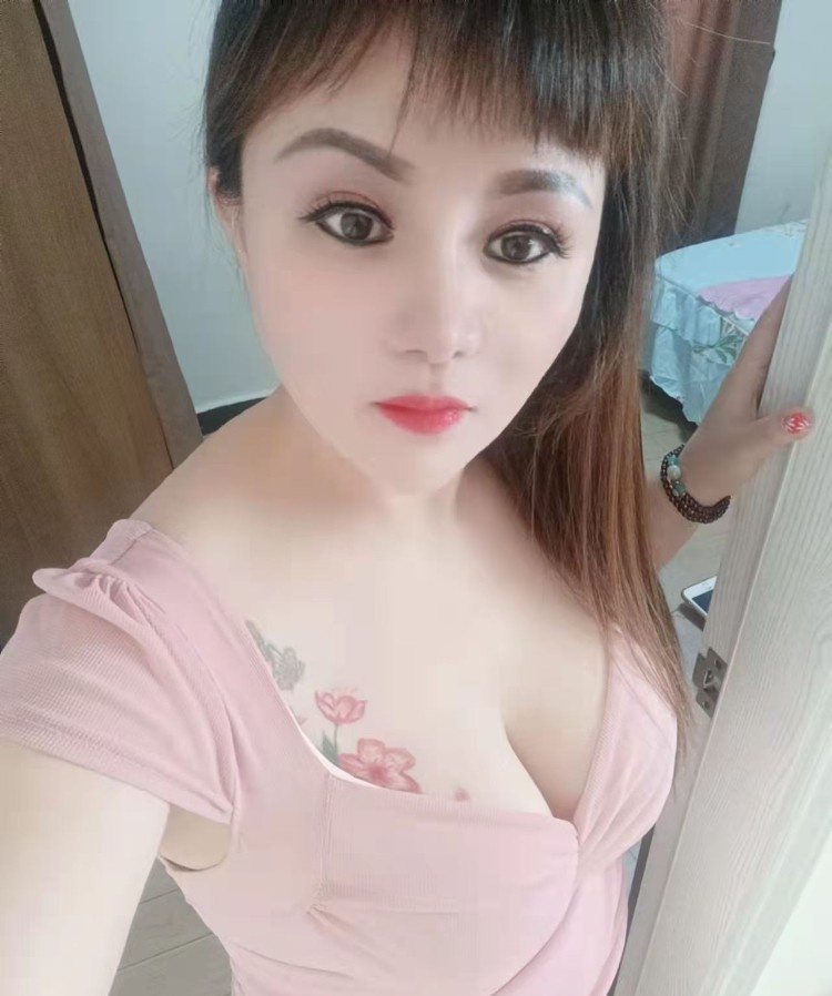 龙岗杨美小野猫