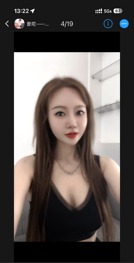 普陀杨杨