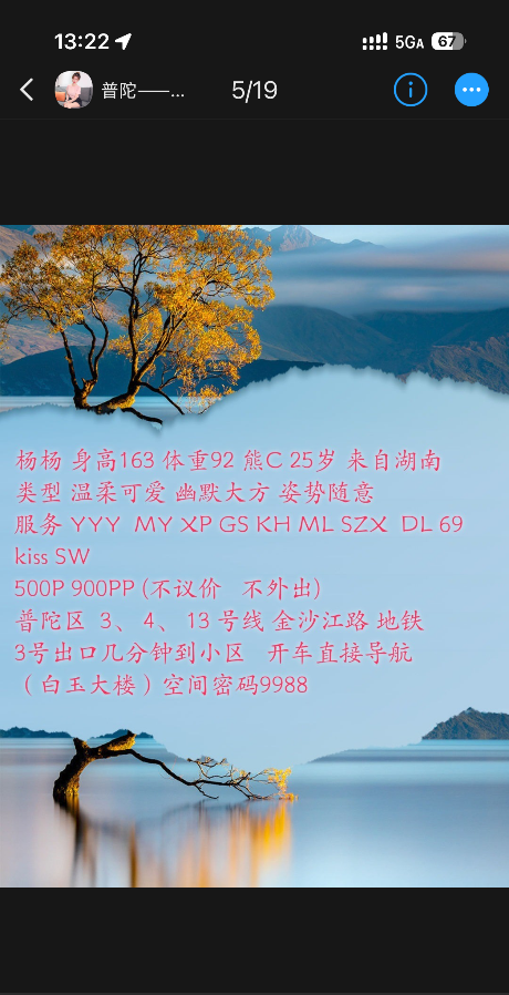普陀杨杨