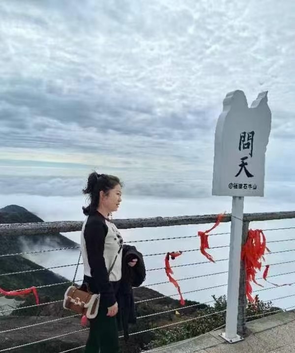 杏林飞飞