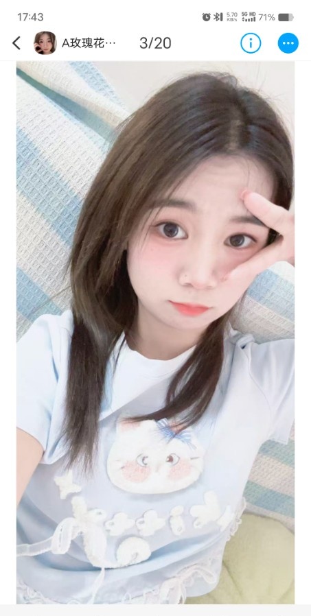 长安玫瑰花