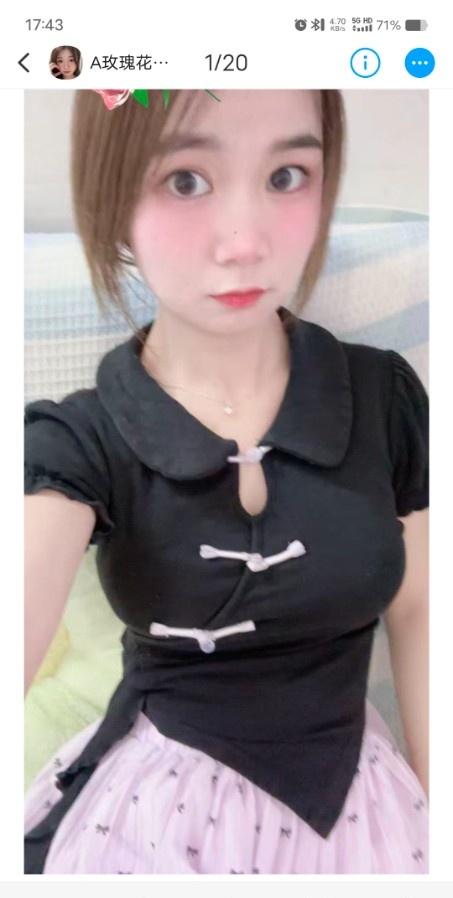 长安玫瑰花