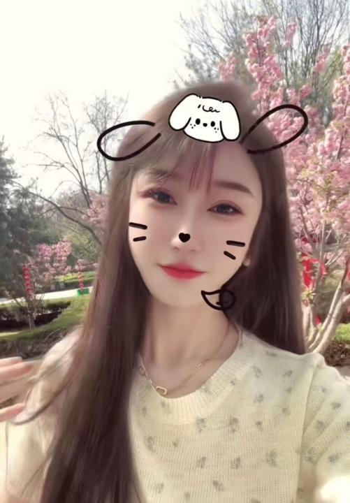 太仓糖宝