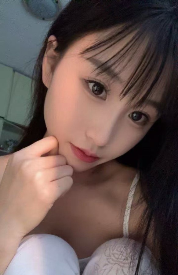 服务系小呆