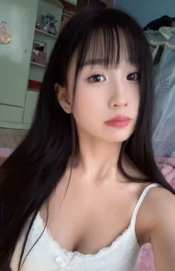 服务系小呆