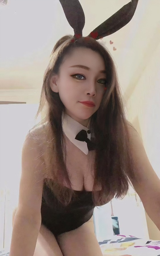 宝安大白奶小肥猫